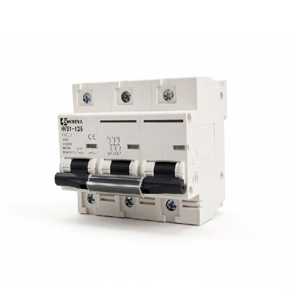 Disjoncteur miniature HYB1-125 C100 MCB